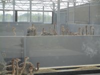 IMG_0952.jpg