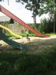 IMG_3578.jpg