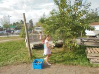 Klik om te vergroten DSC08384.jpg