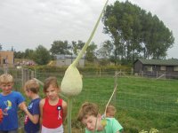 Klik om te vergroten DSC08488.jpg