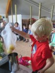IMG_4818.jpg