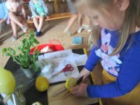 IMG_4827.jpg