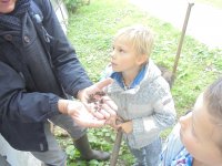 DSC09134.jpg
