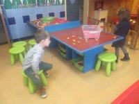 IMG_2326.jpg