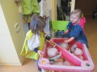 IMG_3774.jpg