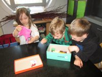 IMG_6677.jpg