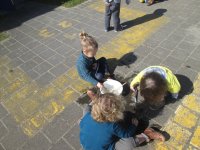 IMG_8945.jpg