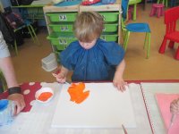 IMG_5312.jpg