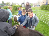 IMG_5204.jpg