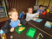 IMG_5276.jpg