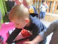 IMG_9284.jpg