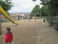 IMG_7101.jpg