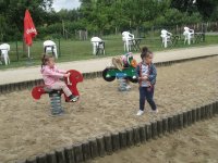 IMG_7107.jpg