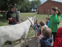 IMG_7135.jpg