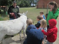 IMG_7136.jpg