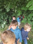 IMG_7142.jpg