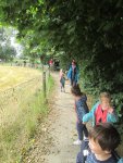 IMG_7145.jpg