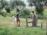 IMG_7177.jpg