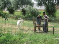 IMG_7178.jpg