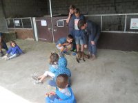 IMG_7188.jpg