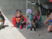 IMG_7191.jpg