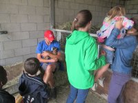 IMG_7202.jpg
