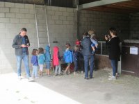 IMG_7204.jpg
