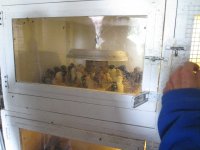 IMG_7212.jpg