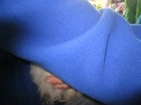 IMG_7251.jpg