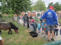 IMG_7259.jpg