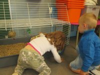 IMG_0553.jpg