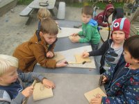 IMG_6823.jpg