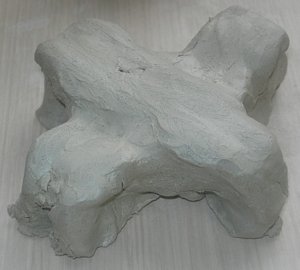 DSCN6355tbk
