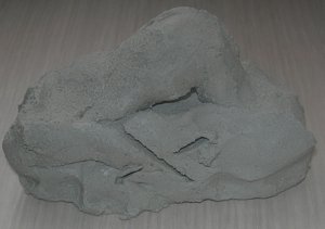 DSCN6373tbk