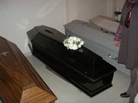 tn_DSCN8943