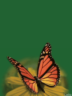 0111