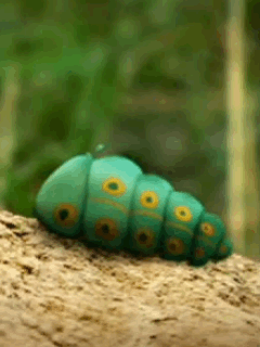 0137