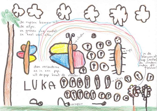 tn_luka