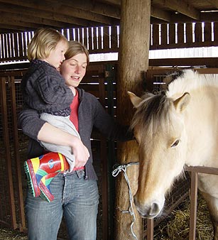 paard