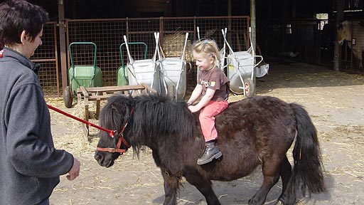 tepaard