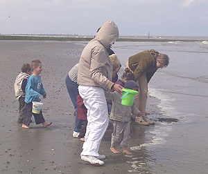 ilse zee04x