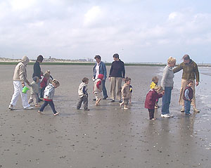 ilse zee06x