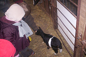 geitjes x