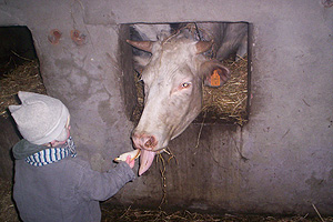 koe met tong x