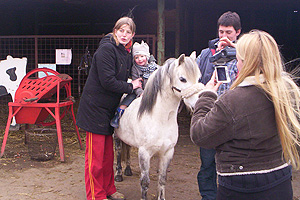 Ilse pony x