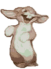 rabbits_001